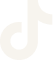 TikTok app icon with the stylized musical note logo.
